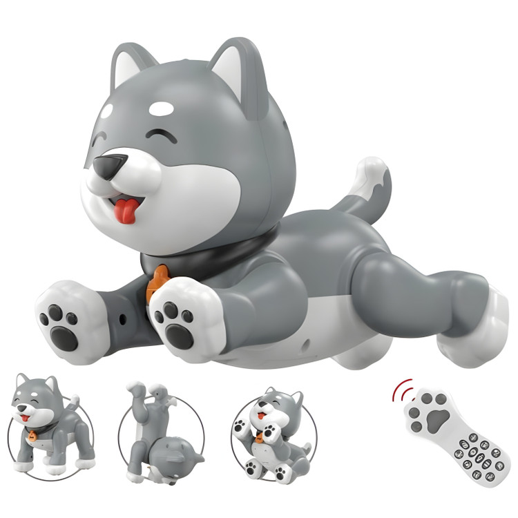 گربه کنترلی ۲ رنگ کد k47