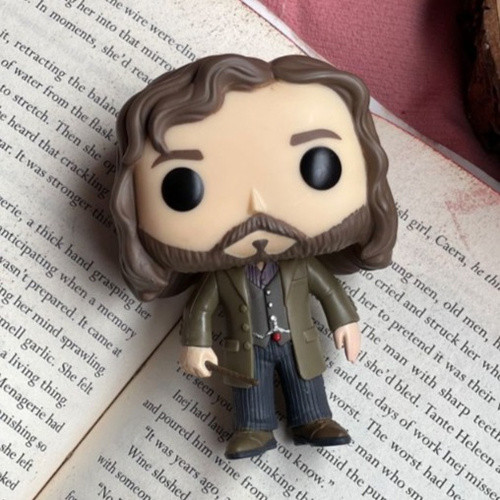 فیگور اورجینال فانکوپاپ سیریوس بلک هریپاتر کد 16 | Sirius Black Harry Potter Funko pop